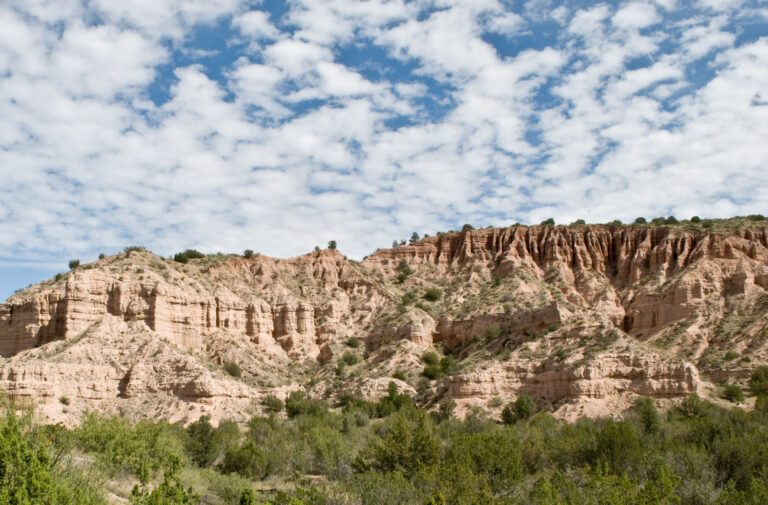 Gila National Forest