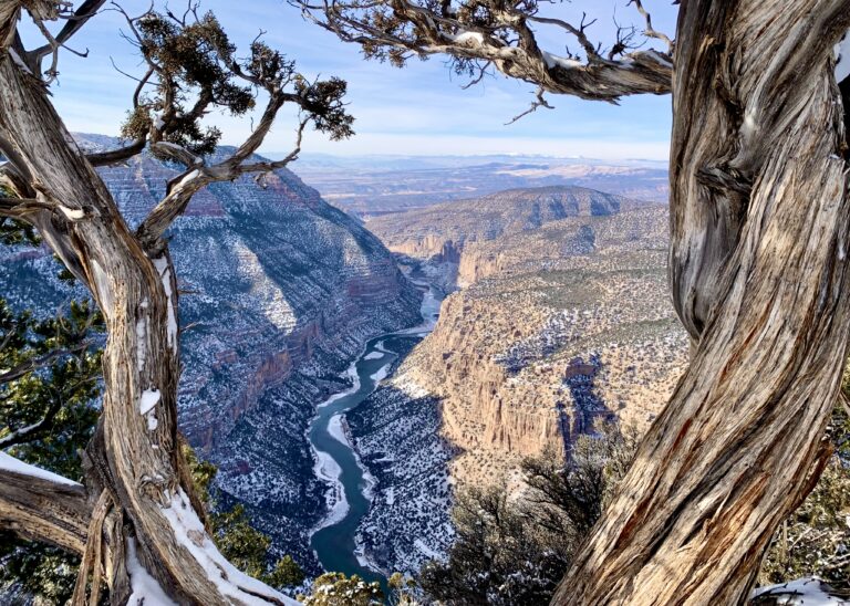 Dinosaur National Monument