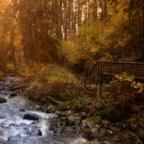 Cedar Creek Falls
