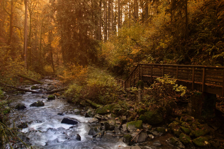 Cedar Creek Falls