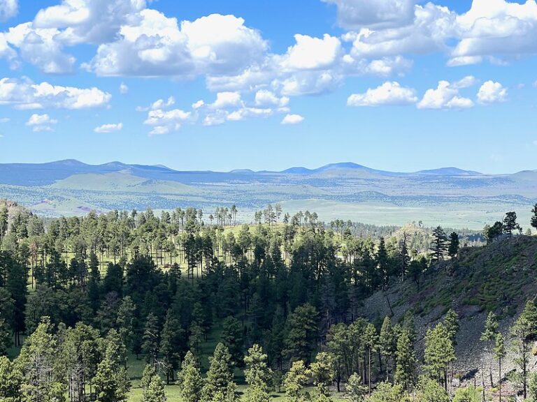 Apache-Sitgreaves National Forests