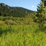 Golden Gate Canyon State Park