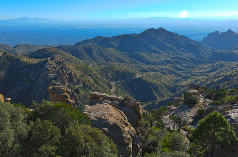 coronado national forest
