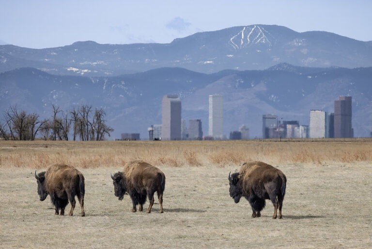 denver colorado